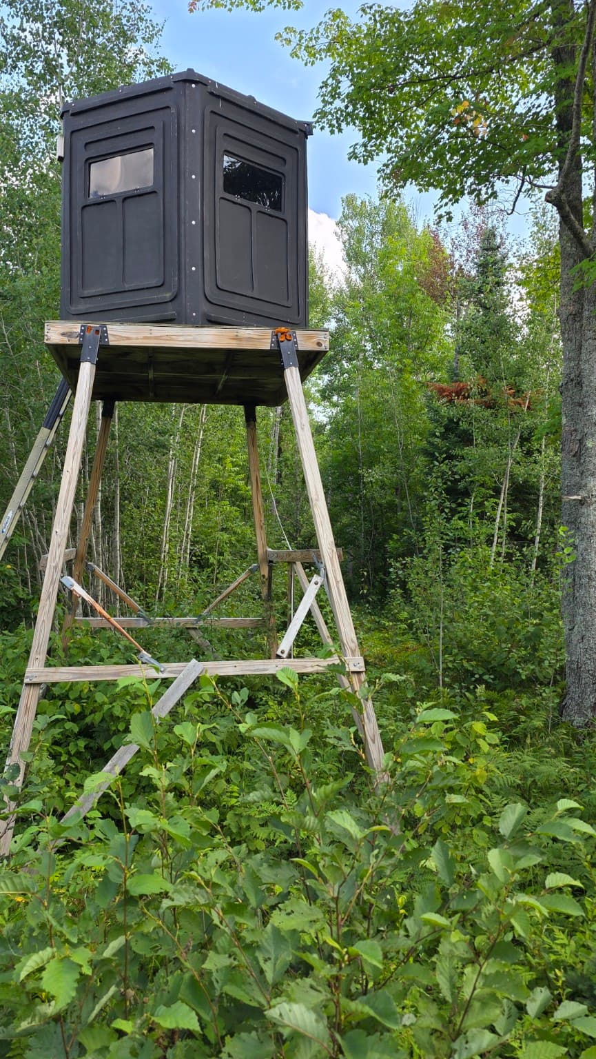 Elevated black hunting blind on a wooden platform surrounded by lush green forest trees.