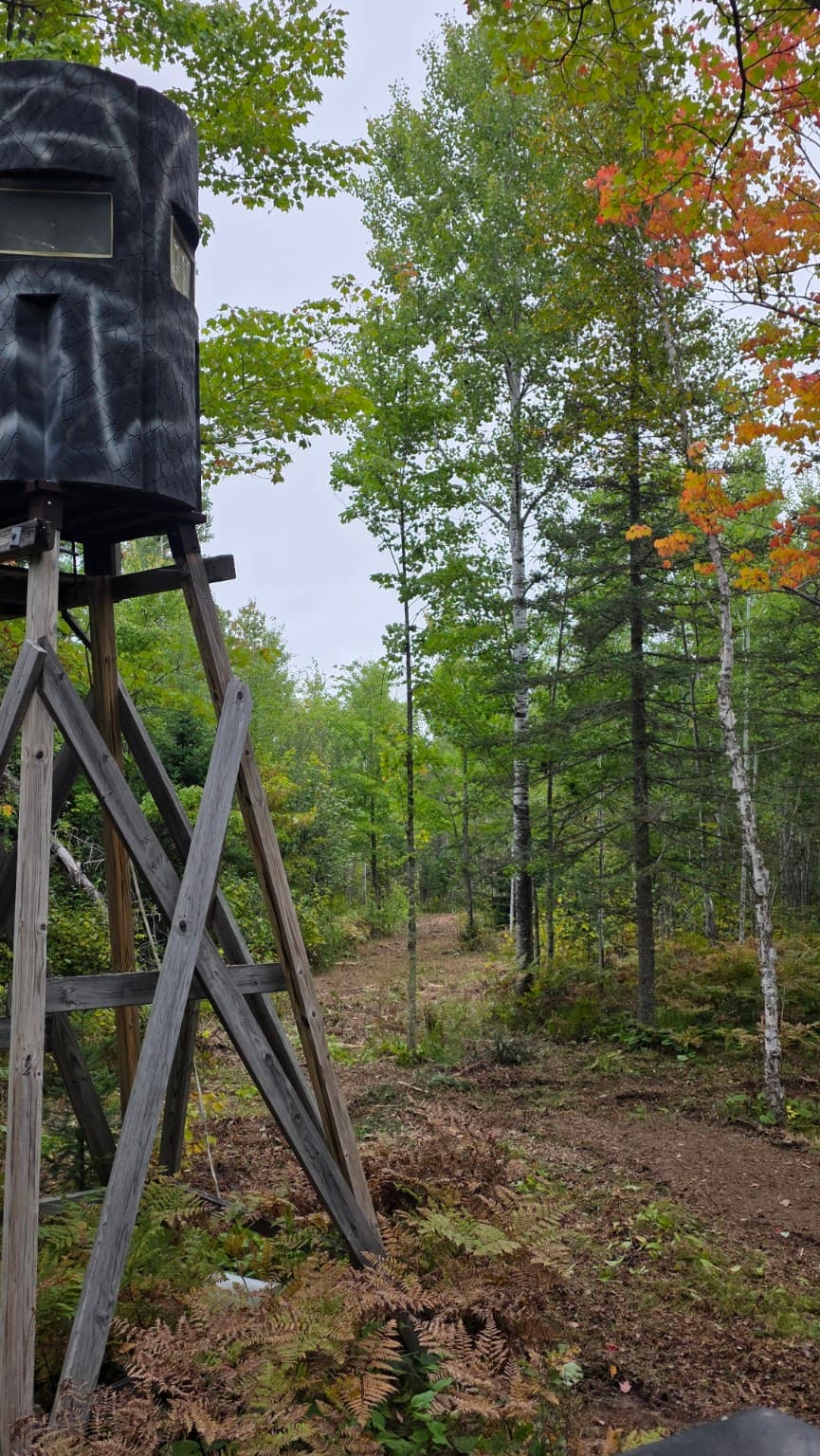 Camouflaged hunting blind on a wooden tower overlooking a dirt path through a forest.