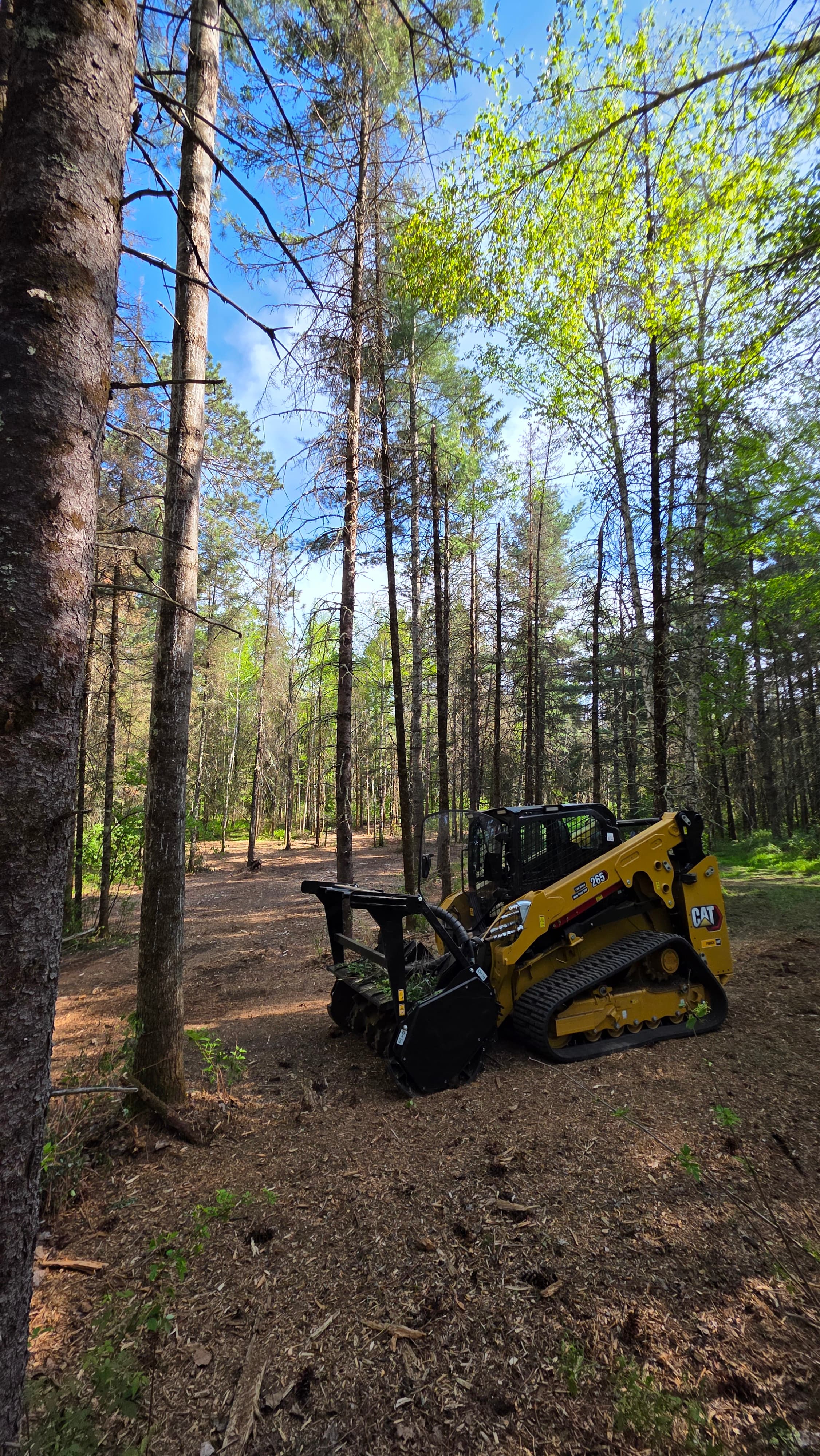 Yellow CAT 265 compact track loader with a mulcher attachment in a forest clearing.