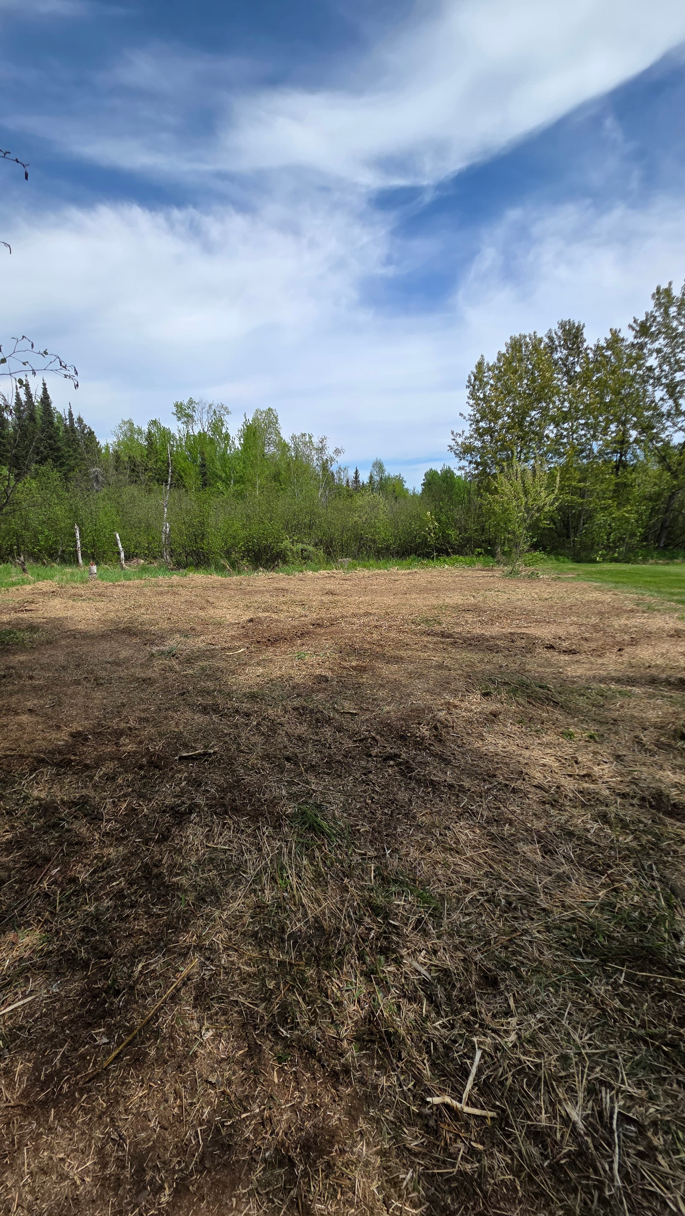 Cleared field of brown mulch and dry grass bordered by green trees under blue sky.