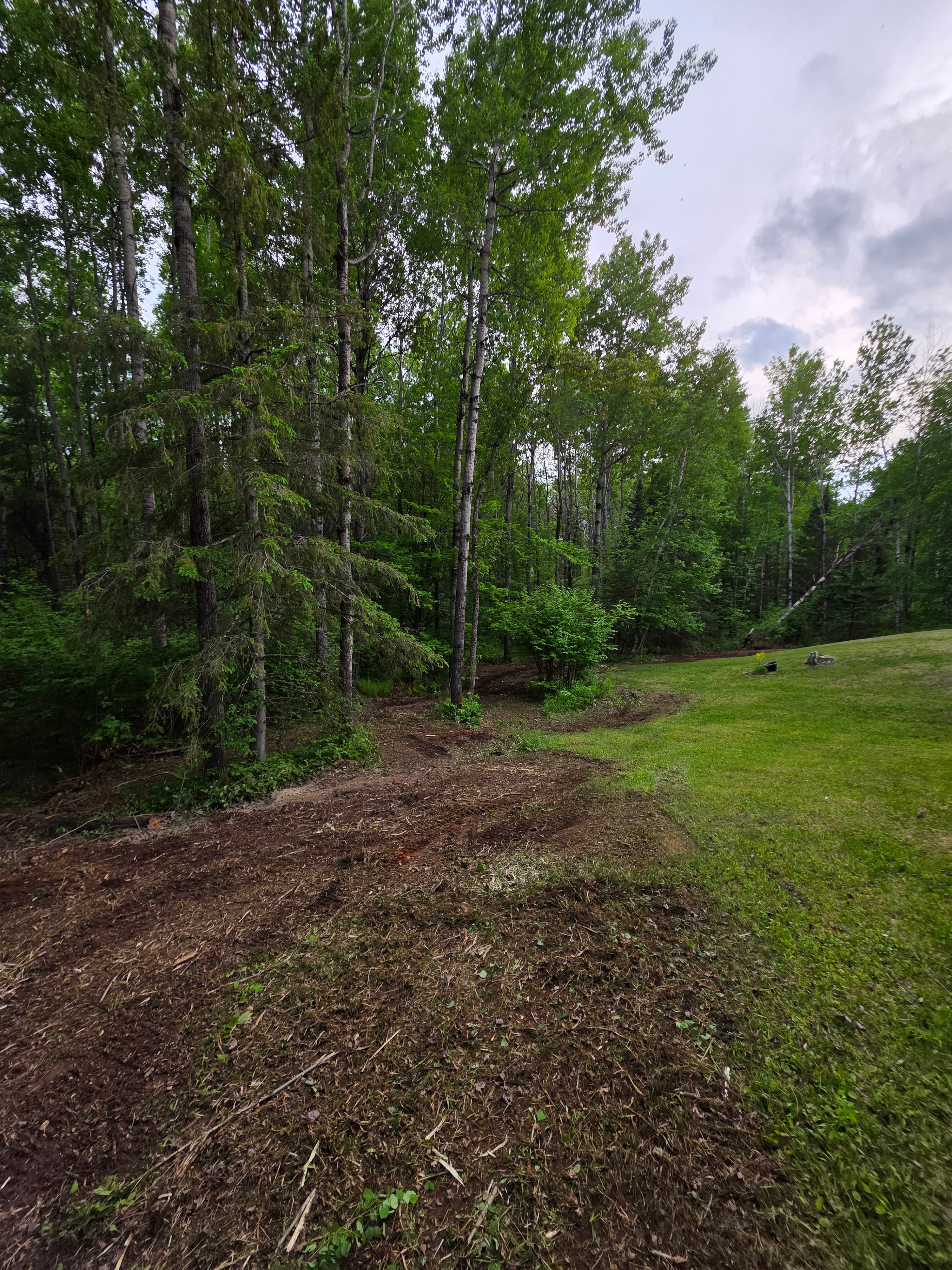 A cleared dirt path transitions from a green lawn into a dense, lush forest.