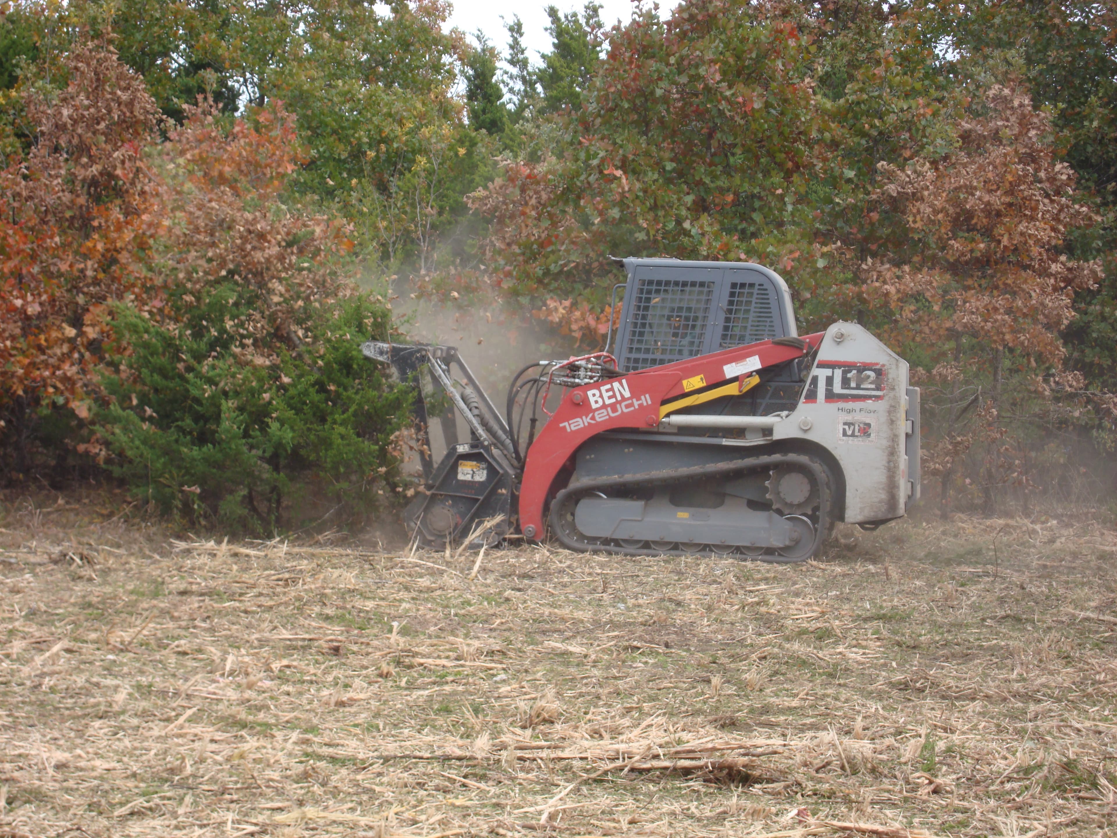 Red Takeuchi track loader mulching brush and trees in a field near a forest.