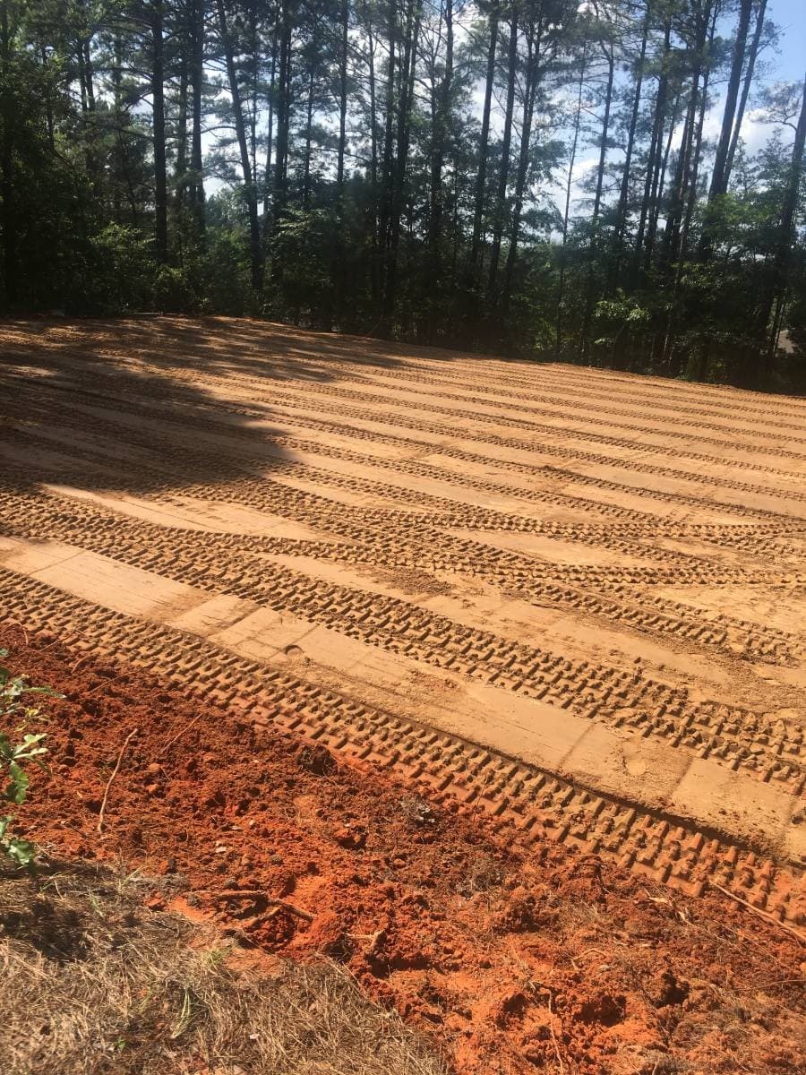 Leveled sandy lot with heavy machinery tire tracks, bordered by a dense pine forest.